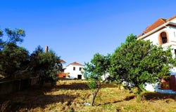 Leiria, Leiria District