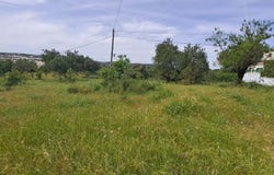 Boliqueime, Algarve 8100