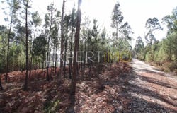 77 R. dos Moinhos, Santarém, Santarém District 2490