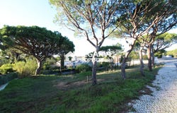 Almancil, Algarve 8135