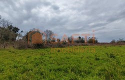 Leiria, Leiria District