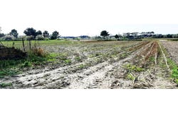 Ovar, Aveiro District
