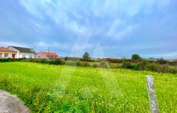 Cacia, Aveiro District