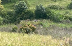 Portimão, Algarve