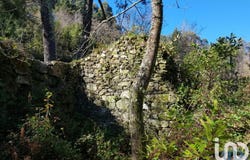 Viana do Castelo, Viana do Castelo District