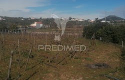 Sé e São Lourenço, Portalegre, Portalegre District