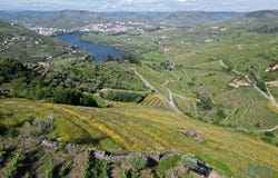Lamego, Viseu 5100-758