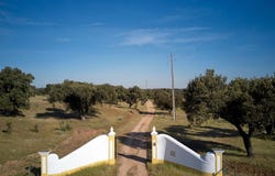 Portalegre, Portalegre District 7300