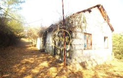 AVES, Porto District