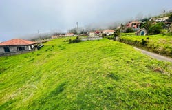 Ilha da Madeira, Madeira