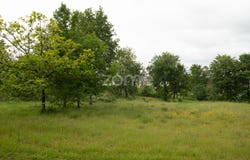Seia, Guarda District