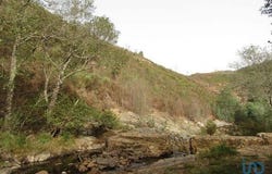 Sardoal, Santarém 2230-052