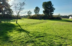 Alhos Vedros, Setubal