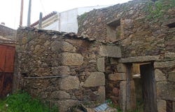 Salgueiro do Campo, Castelo Branco District