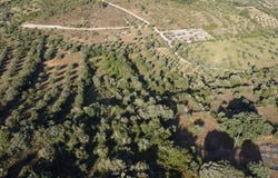 Santarém, Santarém District