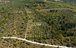 Borba, Évora District