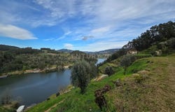 São Martinho de Sardoura, Aveiro District