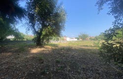Cantanhede, Coimbra District