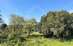 Turquel, Leiria 2460