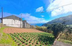 Ilha de São Miguel, Azores