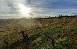 Ninho do Açor e Sobral do Campo, Castelo Branco District