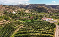Alferce, Algarve 8550