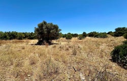 Guia, Algarve 8200