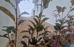 Caldas da Rainha, Leiria 2500-273