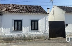 Santarém, Santarém 2025-555
