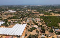 Moncarapacho, Algarve