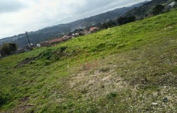 Olival, Santarém District