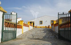Redondo, Redondo, Évora District
