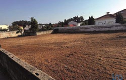Cortegaça, Aveiro Municipality 3885