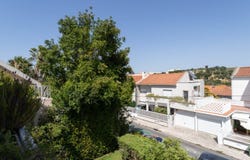 Alvalade, Lisbon
