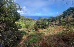 Faial, Madeira 9230