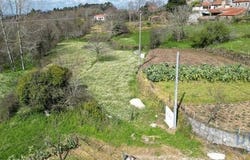 Penela, Coimbra 3230-100