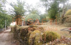 Verim, Braga