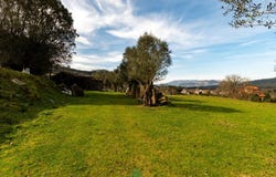 Ribeira, Viana Do Castelo 4990