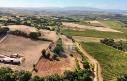 Bombarral, Leiria District