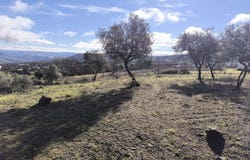 Samil, Bragança District