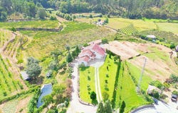 Vila Real, Vila Real District 4880