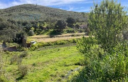 Mexilhoeira Grande, Algarve 8500