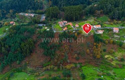 Camacha, Madeira 9135