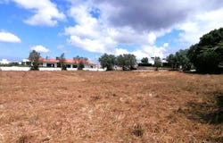 Gaeiras, Leiria District