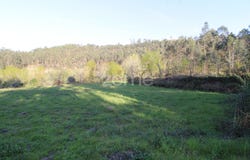 Fafe, Braga