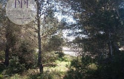 Vila do Bispo, Faro 8650-210