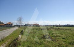 Aradas, Aveiro District