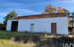Castelo Branco, Castelo Branco District