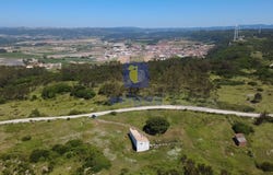 Olho Marinho, Leiria 2510
