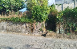 Mangualde, Viseu District